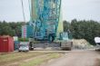 DSC08839.jpg