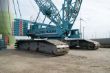 DSC08849.jpg